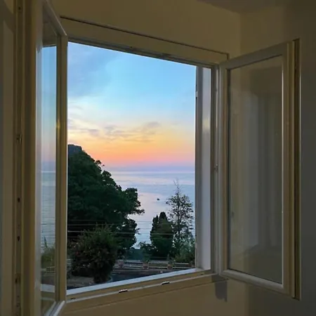 Paradisea Guillhome * Taormina